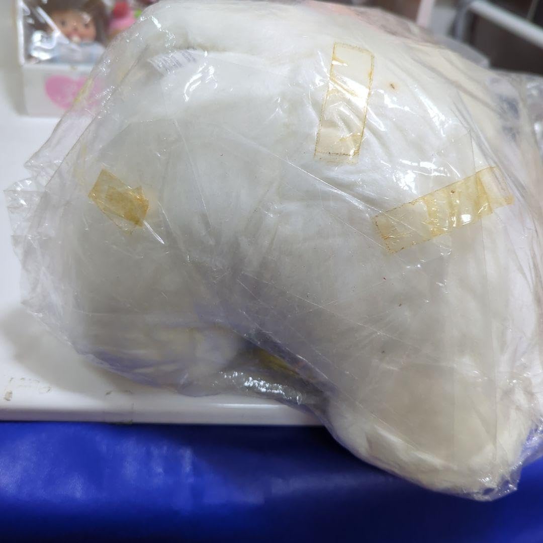 セキグチ副招き 猫の着ぐるみぬいぐるみ タグ付き Amazon.co.jp: セキグチ副招き 猫の着ぐるみぬいぐるみ タグ