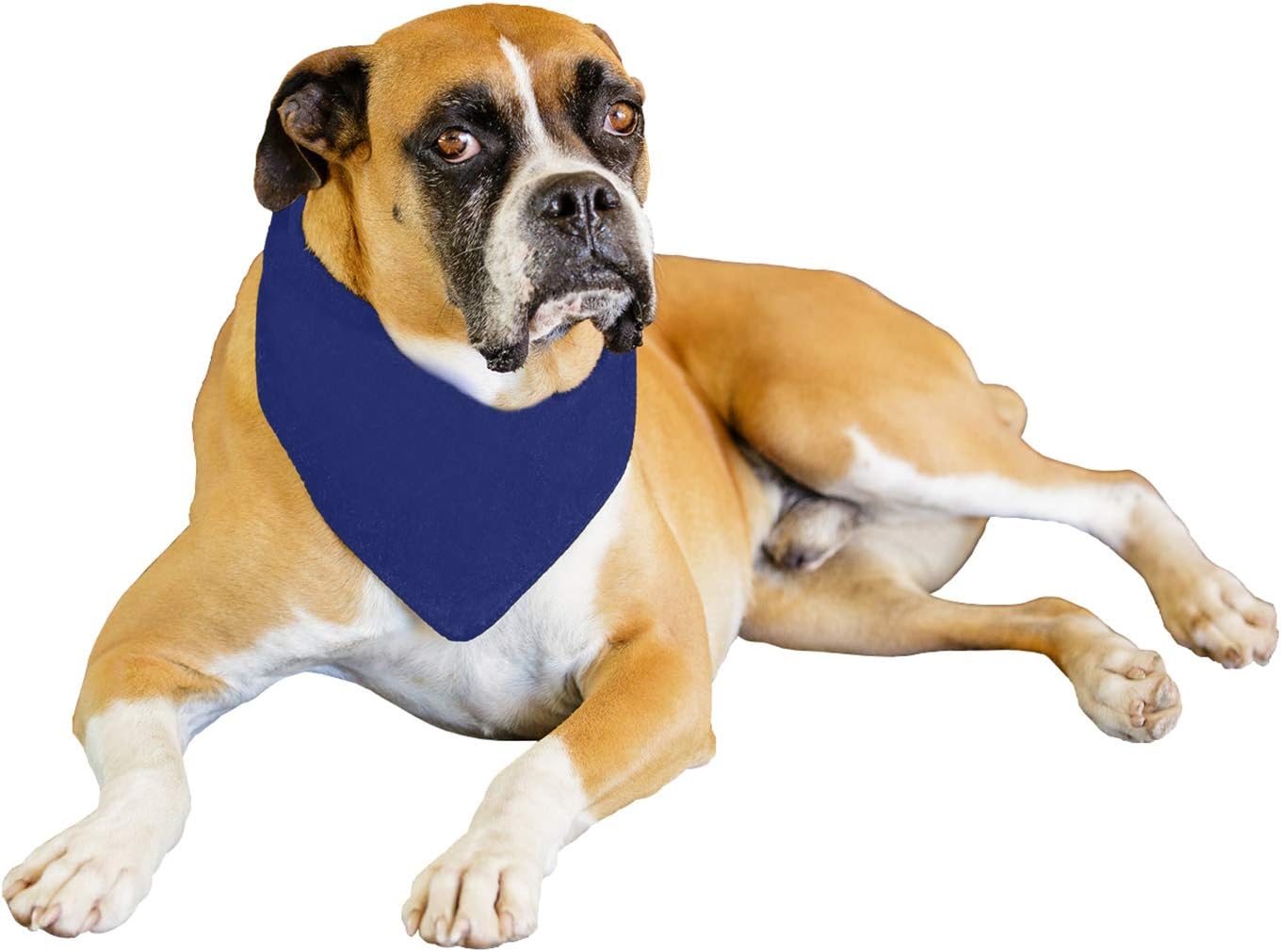 Solid Polyester 12 Pack Dog Neckerchief Triangle Bibs - Extra Large (Blue)