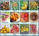 🌱 Wir liefern zusätzlich mit dem Saatgut eine Anzuchtanleitung und ein Bild mit einer Übersicht über die gekauften Sorten.