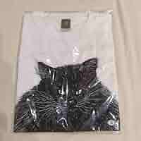 【入手困難】カネコアヤノ2024ツアー黒猫Tシャツ(Sサイズ) 入手困難】カネコアヤノ2024ツアー黒猫Tシャツ(Sサイズ) - メルカリ