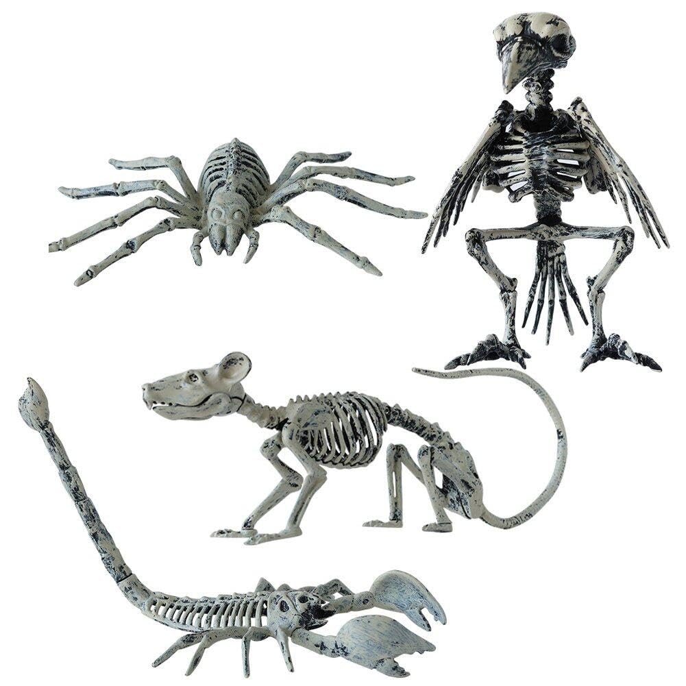 Squelette de scorpion Halloween pour chasser la monotonie de votre décoration