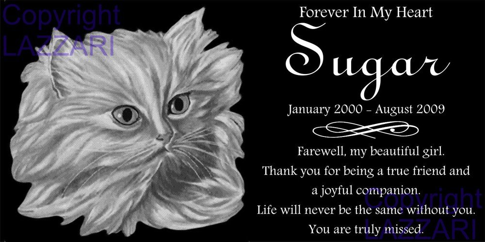 Lazzari Collections Personalized Persian Cat Pet Memorial 12"x6" Engraved Black Granite Grave Marker Headstone Plaque SUG1