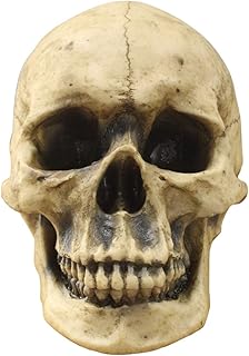 Wallcharmers Wall Charmers Life Size Human Skull - 8.5