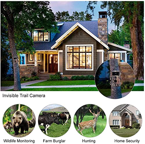 BLAZEVIDEO Game Trail Deer Camera 24MP 1296P H.264 Video Hunters Wildlife Hunting Cam with No Glow Night Vision Motion Sensor Activated IP66 Waterproof & Password Protected Photo & Video Model
