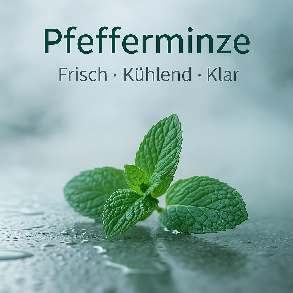 Dufte Momente Saunaaufguss-Konzentrat Pfefferminze – 500 ml – intensiv frisch & belebend – konzentriert & ergiebig – zertifizierte Profi-Qualität – vegan & Made in Germany