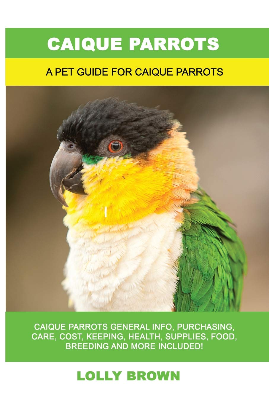 Caique Parrots: Caique Parrots General Info, Purchasing, Care, Cos