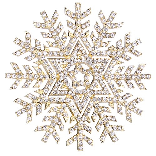 EVER FAITH Gold-Tone Austrian Crystal Winter Snowflake Flower Star Elegant Brooch Pin Clear