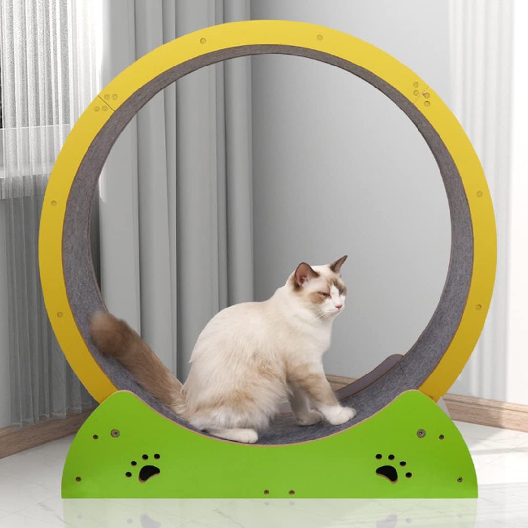 Cat Exercise Wheel for Indoor Cats, Inside Diameter 26.3" Cat Running Wheels, Easy Assembled Cat Wheel with Locking Mechanism, Ultra-Quiet Running for Cat‘s Healthy