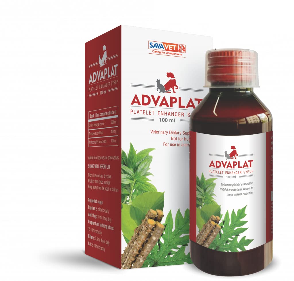 SAVAVET ADVAPLATE Platelet Enhancer Syrup for Dogs (200ml) - Review, Price and Buying Guide