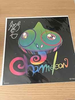 セカオワDJ LOVE  直筆サイン入り　アメリカのお土産　ヨーヨー セカオワDJ LOVE 直筆サイン入り アメリカのお土産 ヨーヨー