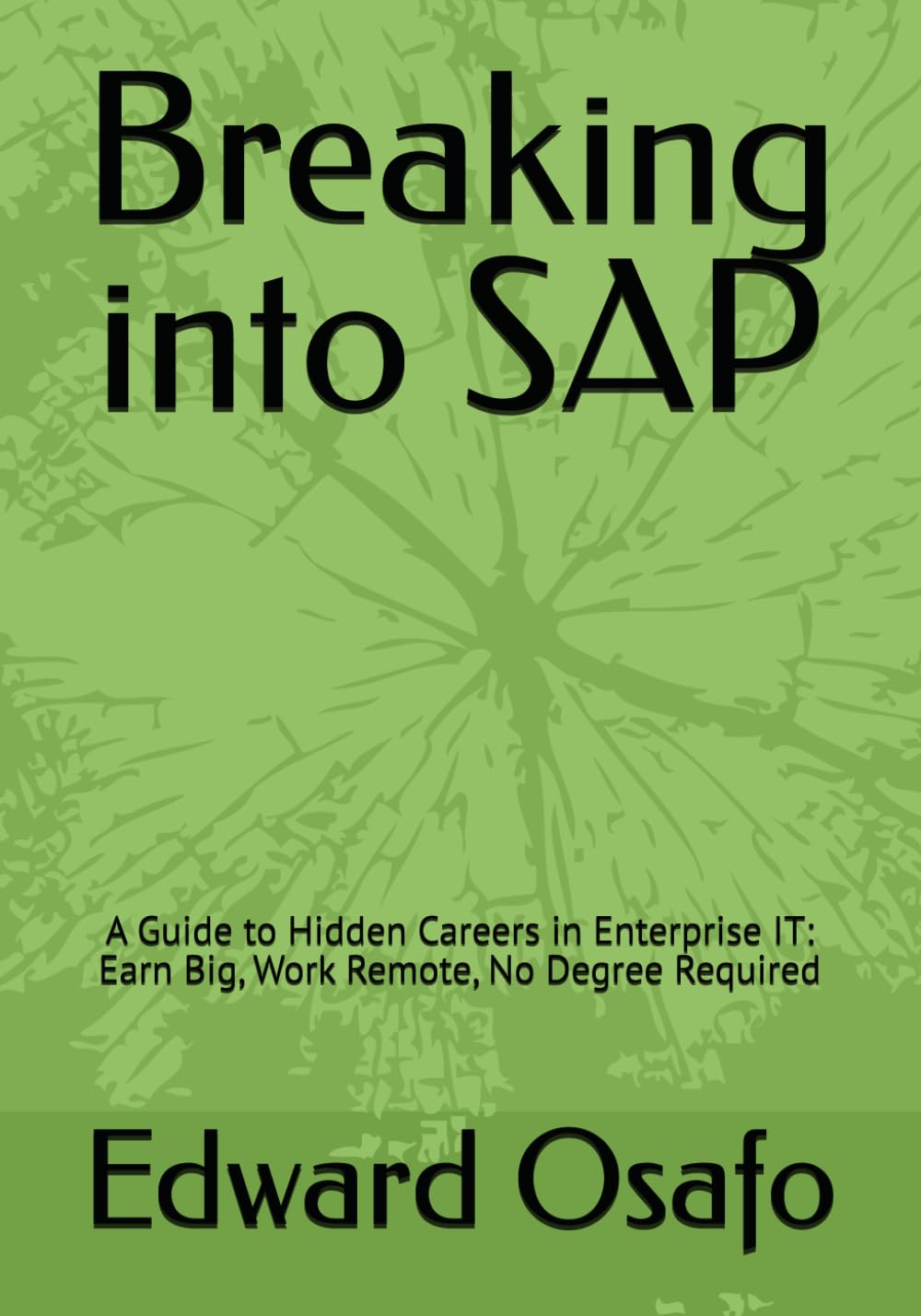 Breaking into SAP: A Guide to Hidden Careers in Enterprise IT: Earn Big, Work Remote, No Degree Required