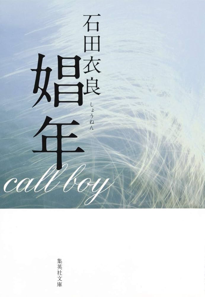 【小説】石田衣良 77冊 石田 衣良〈文庫7冊まとめ売り〉小説【匿名配送・送料無料