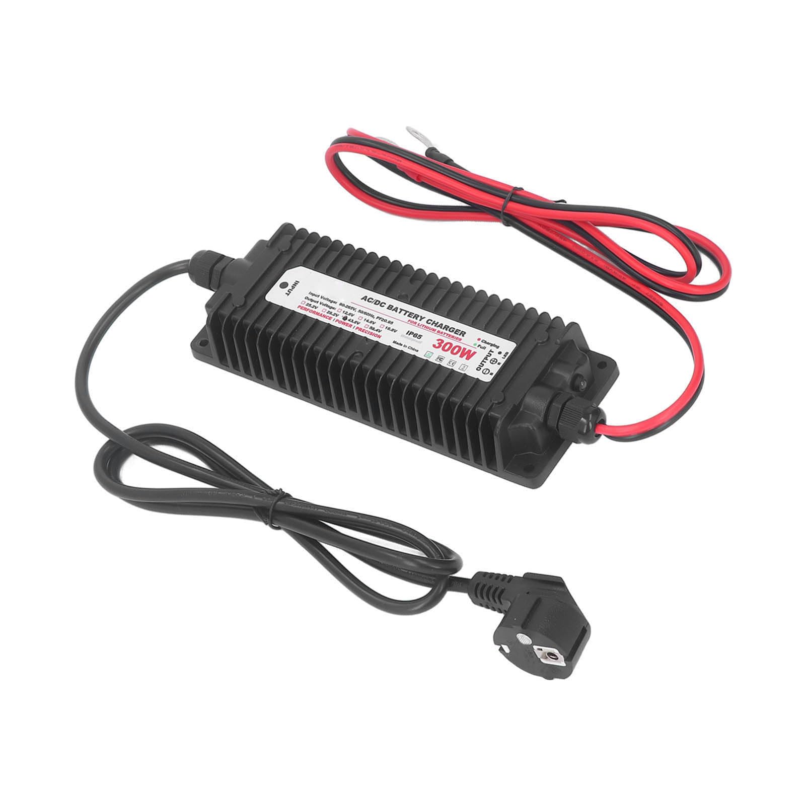 Fafeicy Caricabatterie Al Litio Caricatore Caricatore Agli Ioni di Litio 43,8 V 6,7 A 300 W IP65 Impermeabile con Stato LED per Apparecchiature di Veicoli (Spina europea)