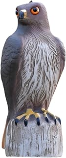 THE WHITE SHOP Crow Decoys Full Body Plastic Crow Decoy for Hunting