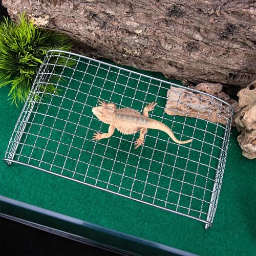 Hamaca para dragón barbudo que decora terrarios secos de reptiles 4
