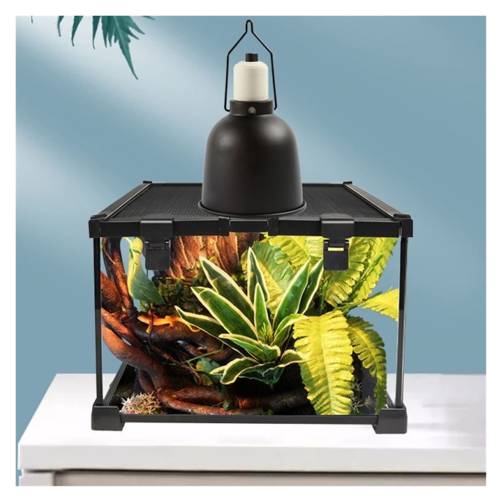 Serbatoio di Tartaruga Mangiatoia Rettile Acquario Rettile Accessori Acquario Rifugio for Anfibi Vetro panoramico per Interni Esterni (Color : 20x20x20cm)