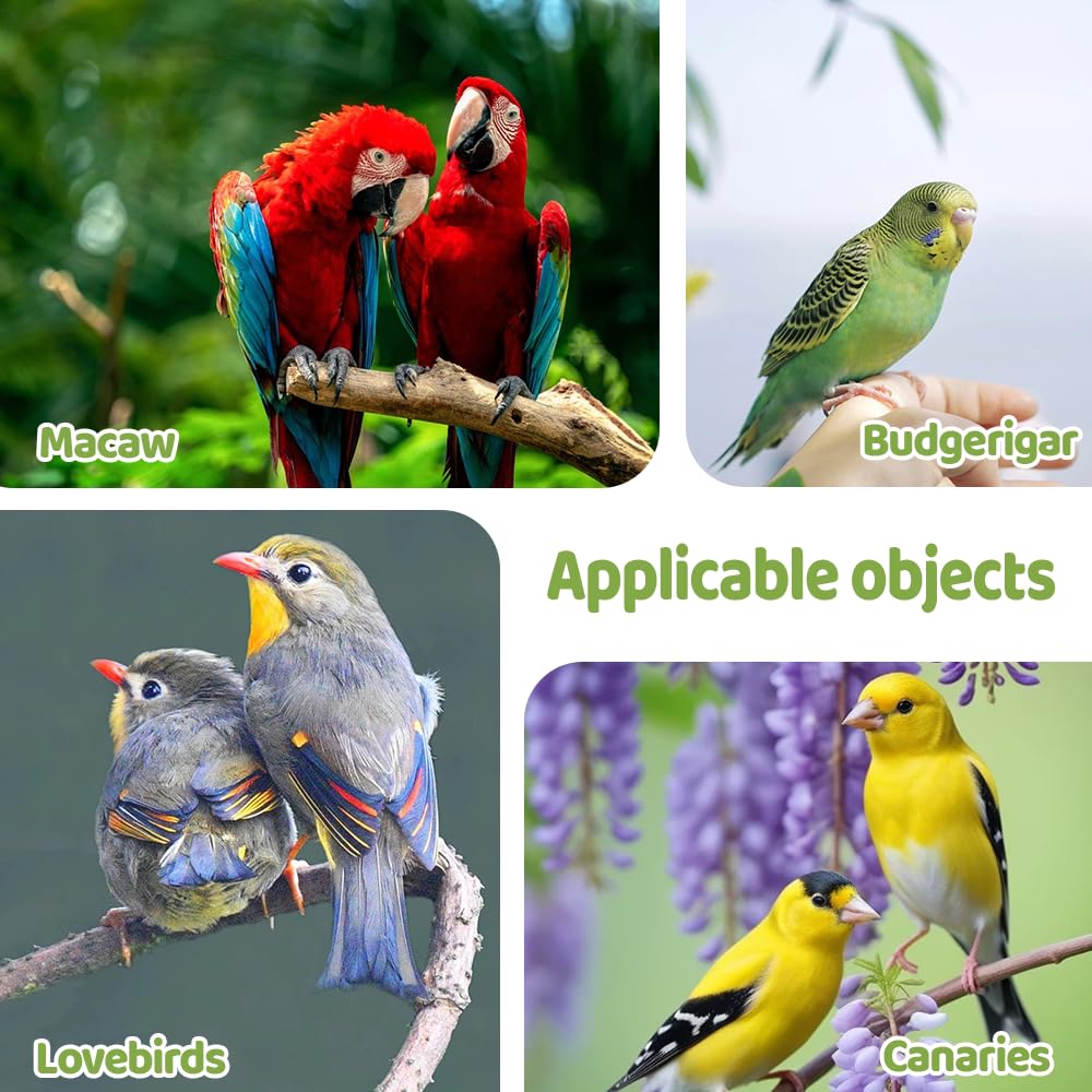 DONGKER Wooden Bird Foraging Puzzle Toys,Multiple Uses Parakeet Feeder Perches Stand with Custom Acrylic Lid for Macaw Sun Conure Small Sized Birds - image 7