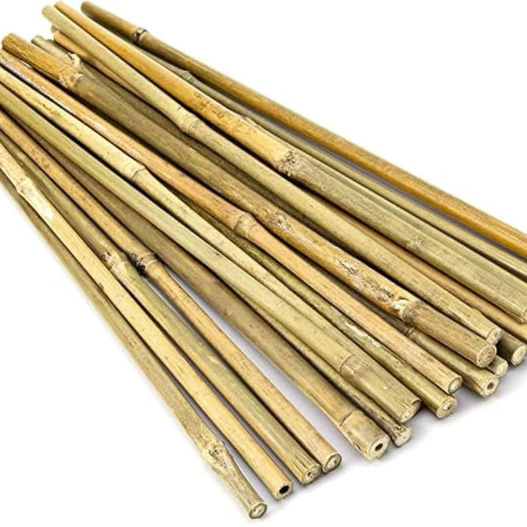 Set di 25 Tutori in Bambù Naturale – Pali per Pomodori, Sostegni per Piante da Interno ed Esterno – Bastoni per Orto e Giardinaggio – Lunghezze da 90 a 240 cm (H cm 210 X Ø mm 16-18)