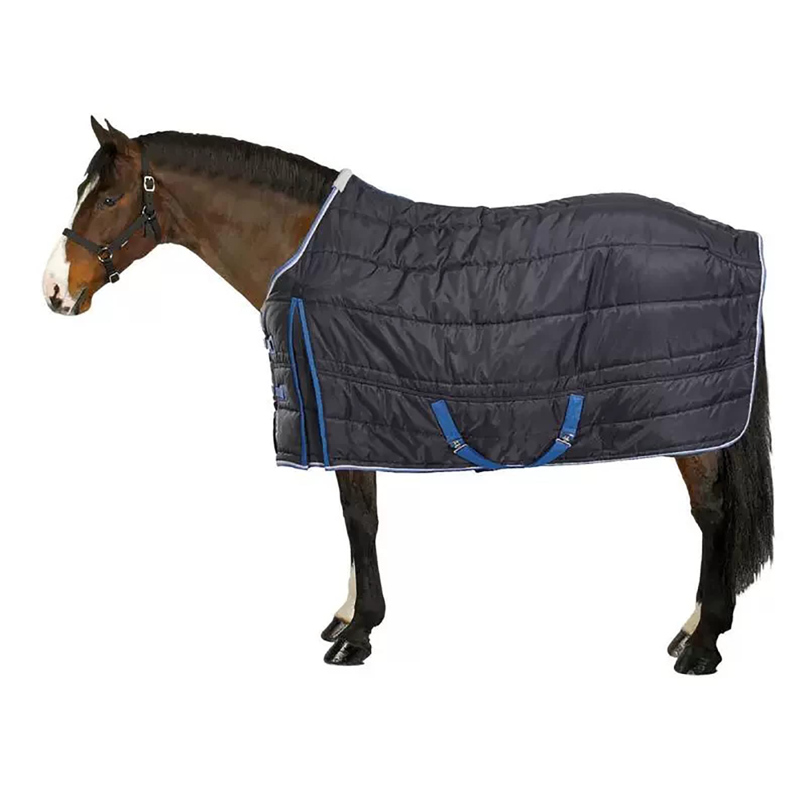Coperta per Cavalli Invernale Coperta da Paddock per Cavallo TurnoutMorbido e Caldo Coperta Paddock Horses Blu Navy(Size:165cm)