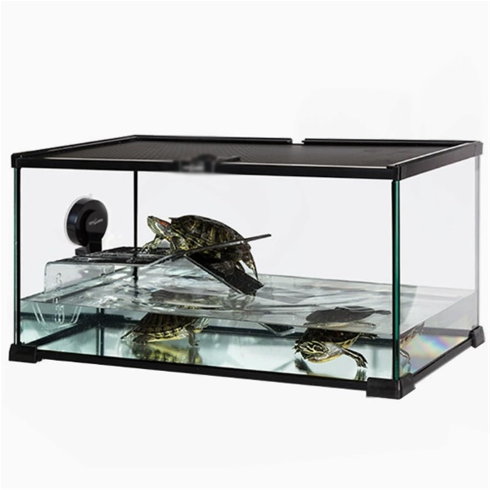 Aquarien Schildkrötenaufzuchtbecken Tiefwasserschildkröte aus Spezialglas mit Ablauflöchern