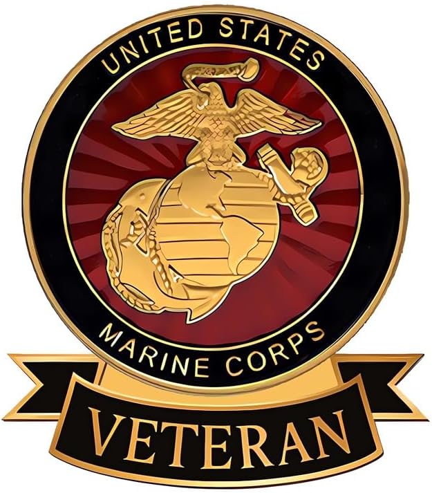 GOWOLA US Baseball Cap with Military Label Pins,Gifts for Military Member,US Hat Set - Image 3