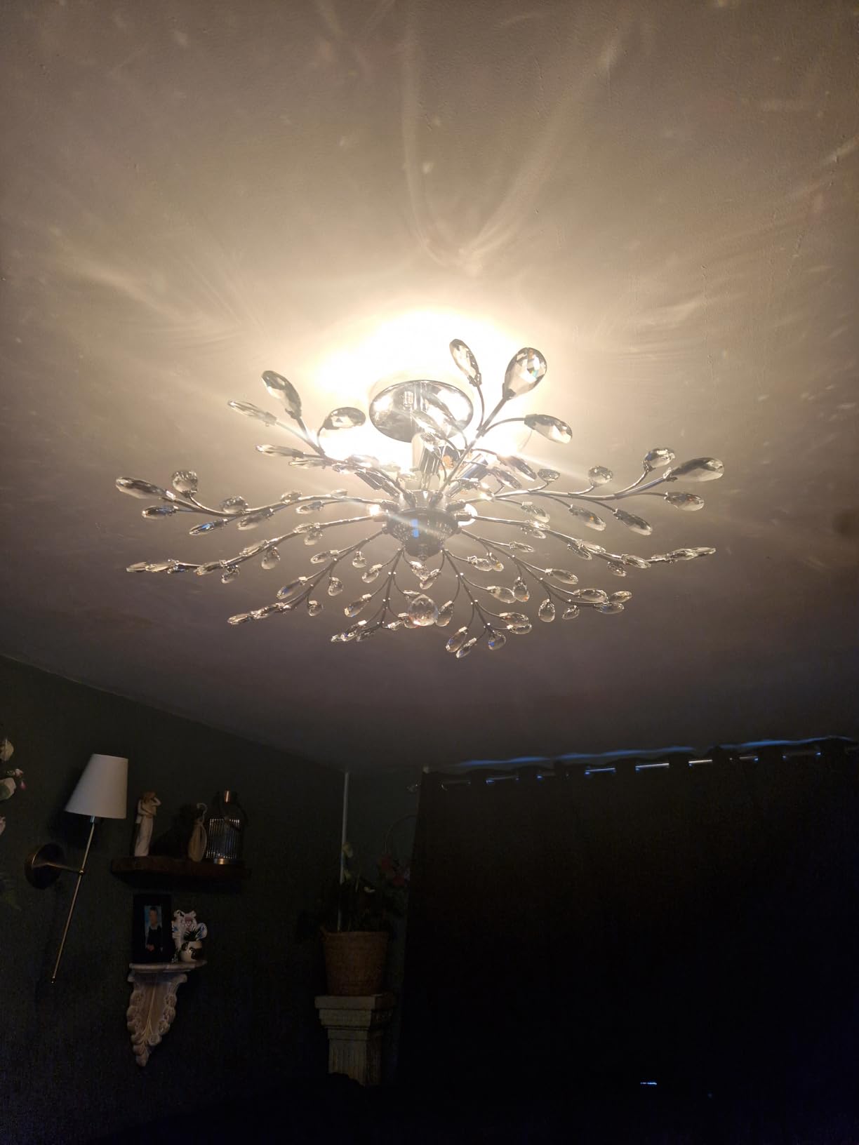 Customer photo
