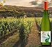DUQUE DE VALEI Vino blanco – D.O.Ribeiro – Vino Gallego - caja...