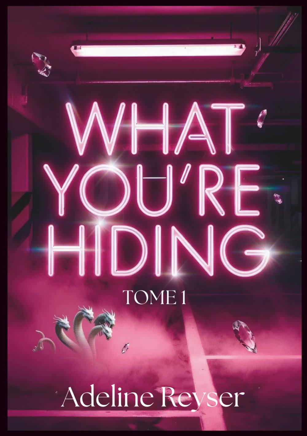What you’re hiding: Tome 1 (What you're hiding- duologie)