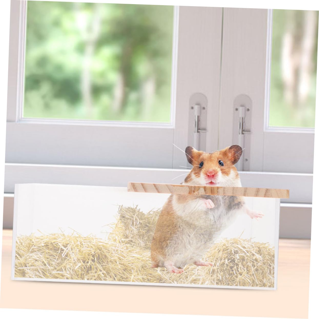 2 Stück Acryl Sandbad für Hamster und Meerschweinchen Glatte Oberfläche Sicher zum Baden und Spielen Transparent für Zuhause oder Zoohandlung