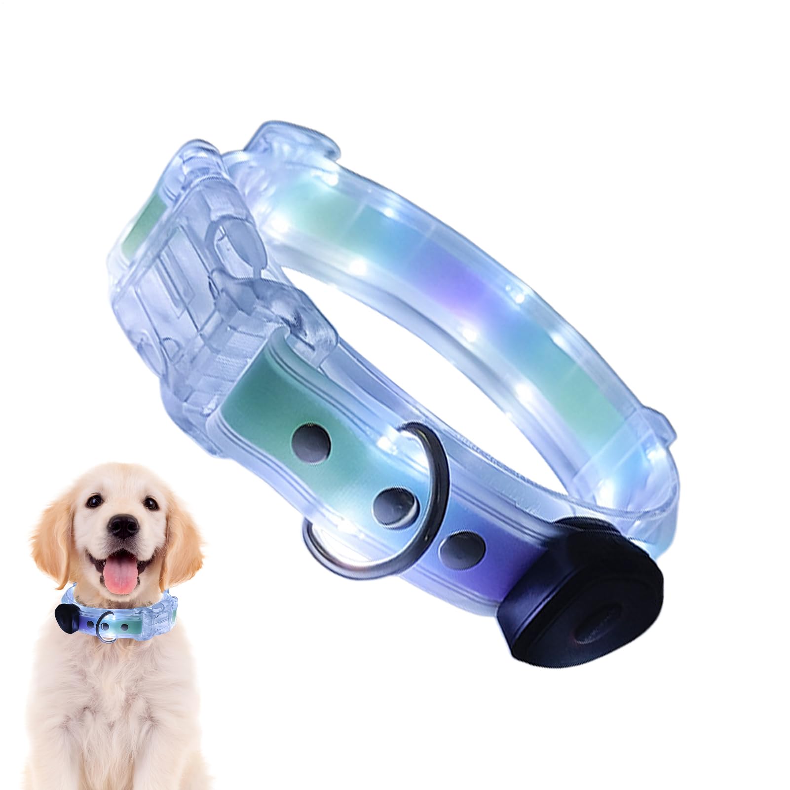 Collier LED pour chien haute visibilité 3 modes pour sécurité dans l'obscurité