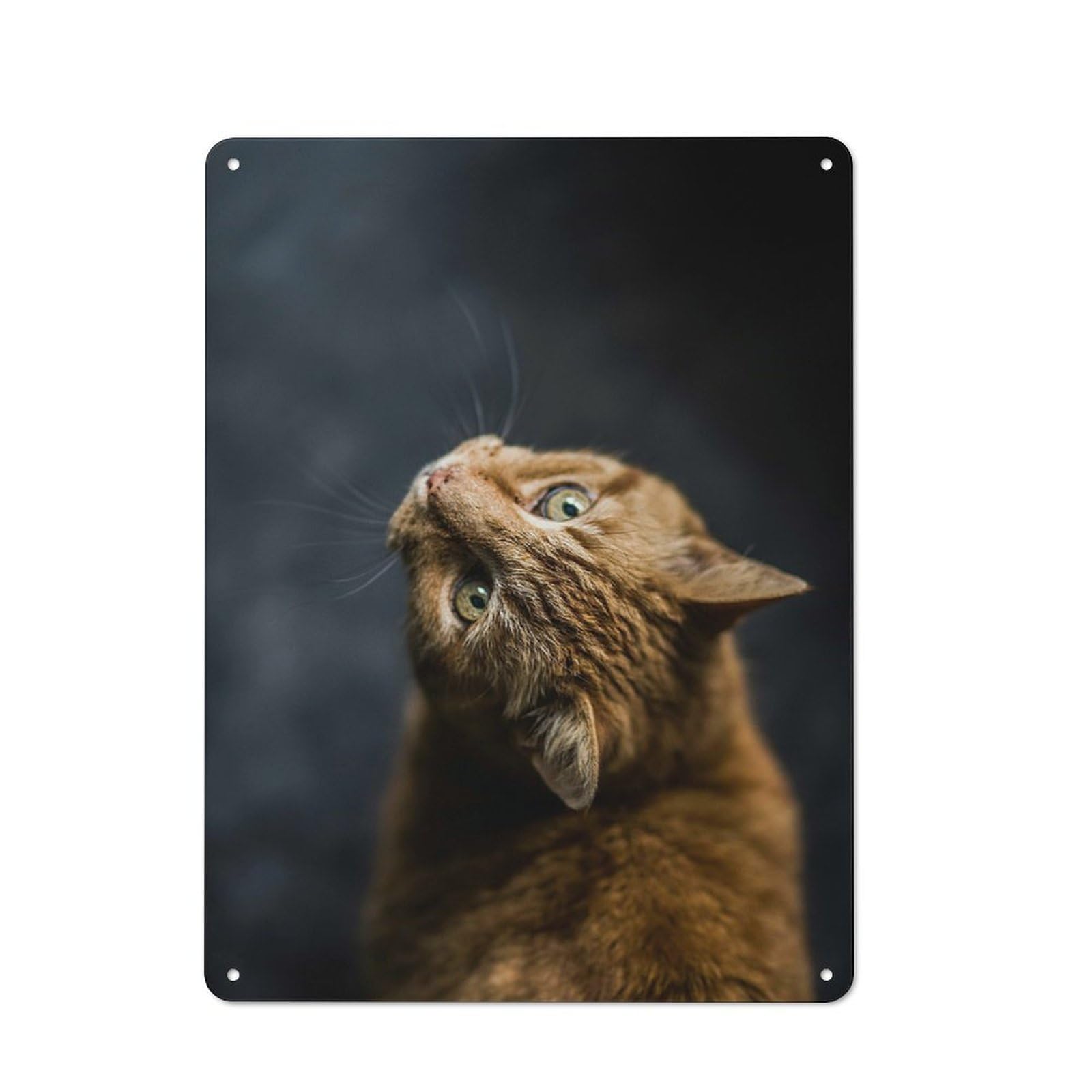 Junmoney Style-7 Curious Ginger Cat Rustic Tin Sign 40X30cm For Café Or Home Bar, Suited To Hospitality Decor Collectors