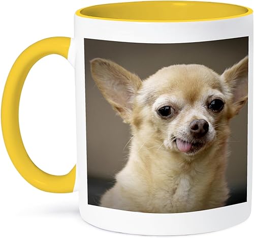 Vista 9 de 3dRose Julien Mcroberts Chihuahua Dog, Santa Fe, New Mexico-US32 JMR0502-Julien Mcroberts - Taza de dos tonos, 11 onzas, negro/blanco