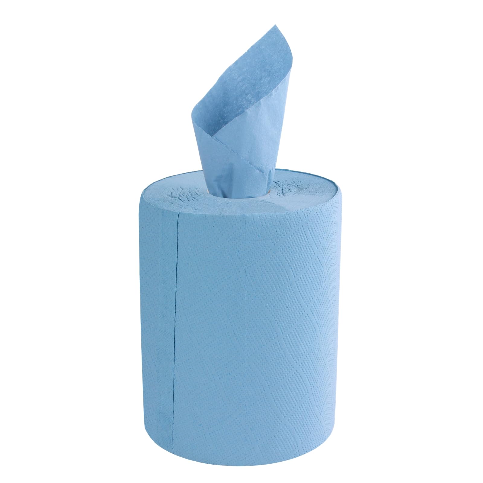 TECPO Rotolo di carta da 3600 fogli, 23 x 30 cm, a 2 strati perforati, rotolo di panno riciclato blu, per pulizia assorbente, adatto per industria, officina, ristorante e commerciale (12 x 300 fogli)