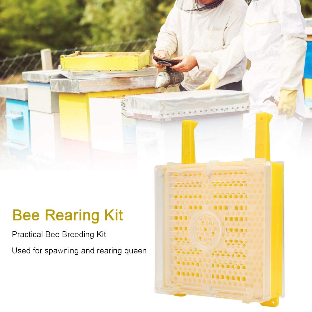 Per la regina, per il kit di allevamento - bottiglia di marcatura della gabbia per allevamento di api in plastica - accessori per gli strumenti di apicoltura