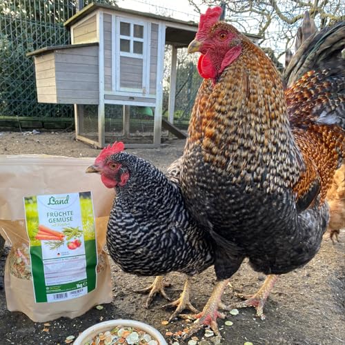 HÜHNER Land Hühnerfutter Früchte-Gemüse mit Kräutern Menü 1kg I Gemüseflocken für Hühner, Geflügelfutter, Natürliches Hühner Zusatzfutter Vitamine & Nährstoffe