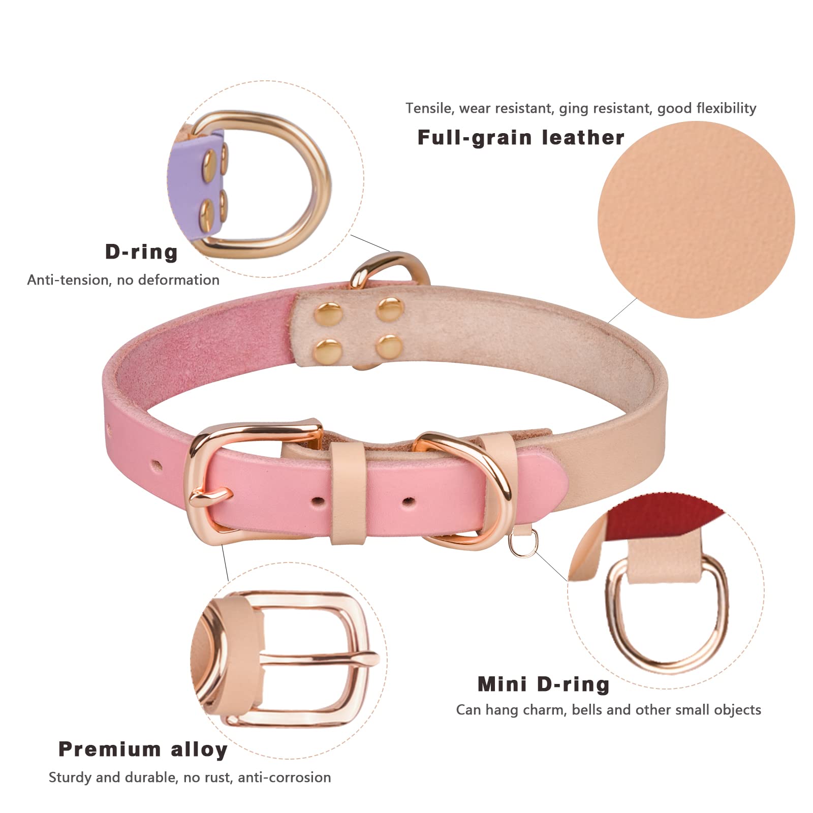 Yonsbox Collare Cane Personalizzato In Vera Pelle Con Targhetta ID Silenziosa Incisa Nome E Numero – Collare Elegante Regolabile Oro Rosa - Foto 9