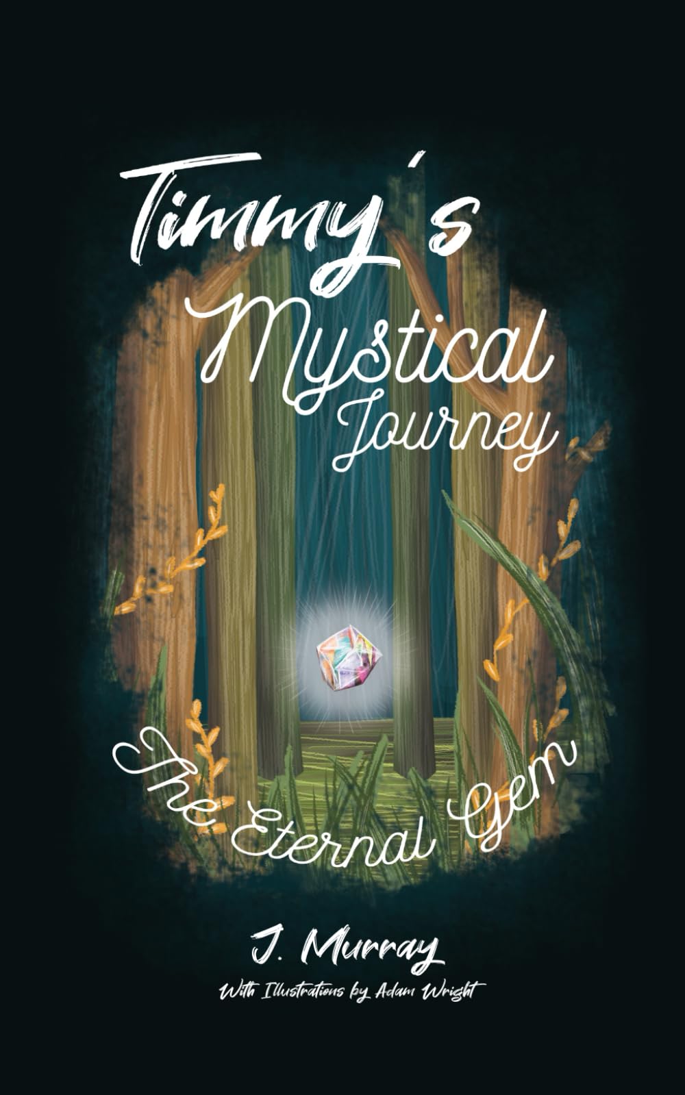 Timmy's Mystical Journey: The Eternal Gem