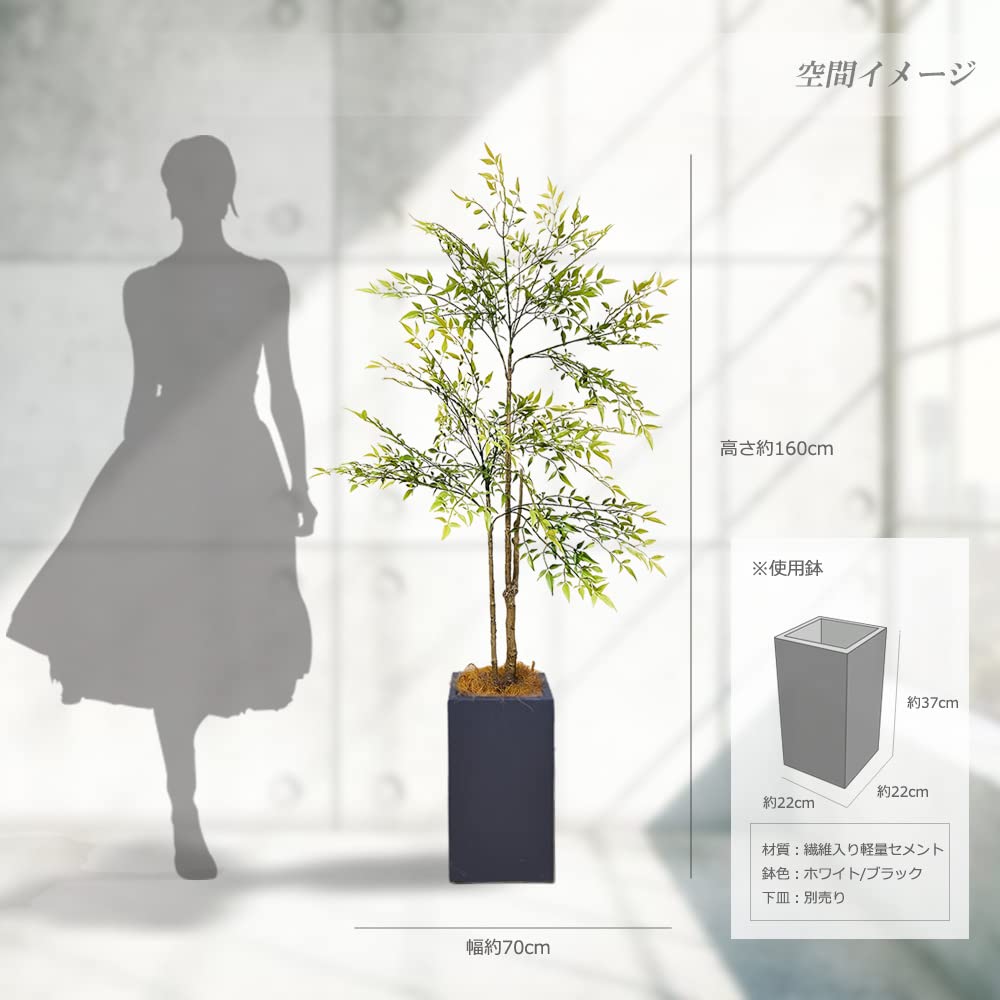 アレカヤシ ファイバーセメント鉢 お皿付き 【公式通販】