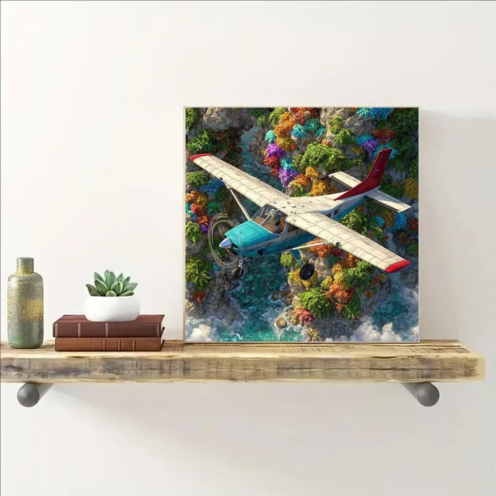 Diamond Painting Airplane Flower Diamond Art Kits, 5D Gem Arts and Crafts Painting Kits DIY Full Square Drill Crystal Embroidery, Hobbies for Women for Home Wall Decor, Gifts 19.7x19.7 Inch 3-JB31