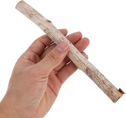 Miniatura 6 de 20pcs ramas de abedul naturales ramitas de abedul palillos para accesorios de foto palos de madera arreglo floral