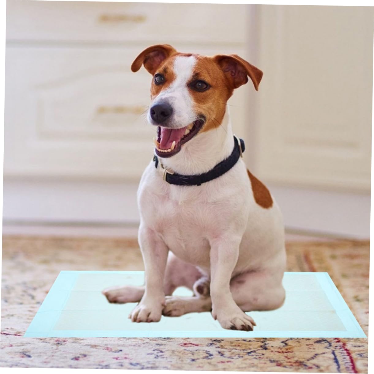 100pièces Tapis Absorbants pour Chiens Et Ultra Absorbante Et Étanche pour Entraînement Propreté Intérieur