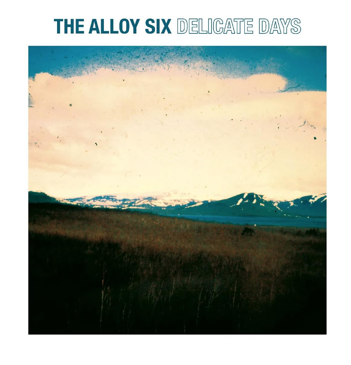 Delicate Days