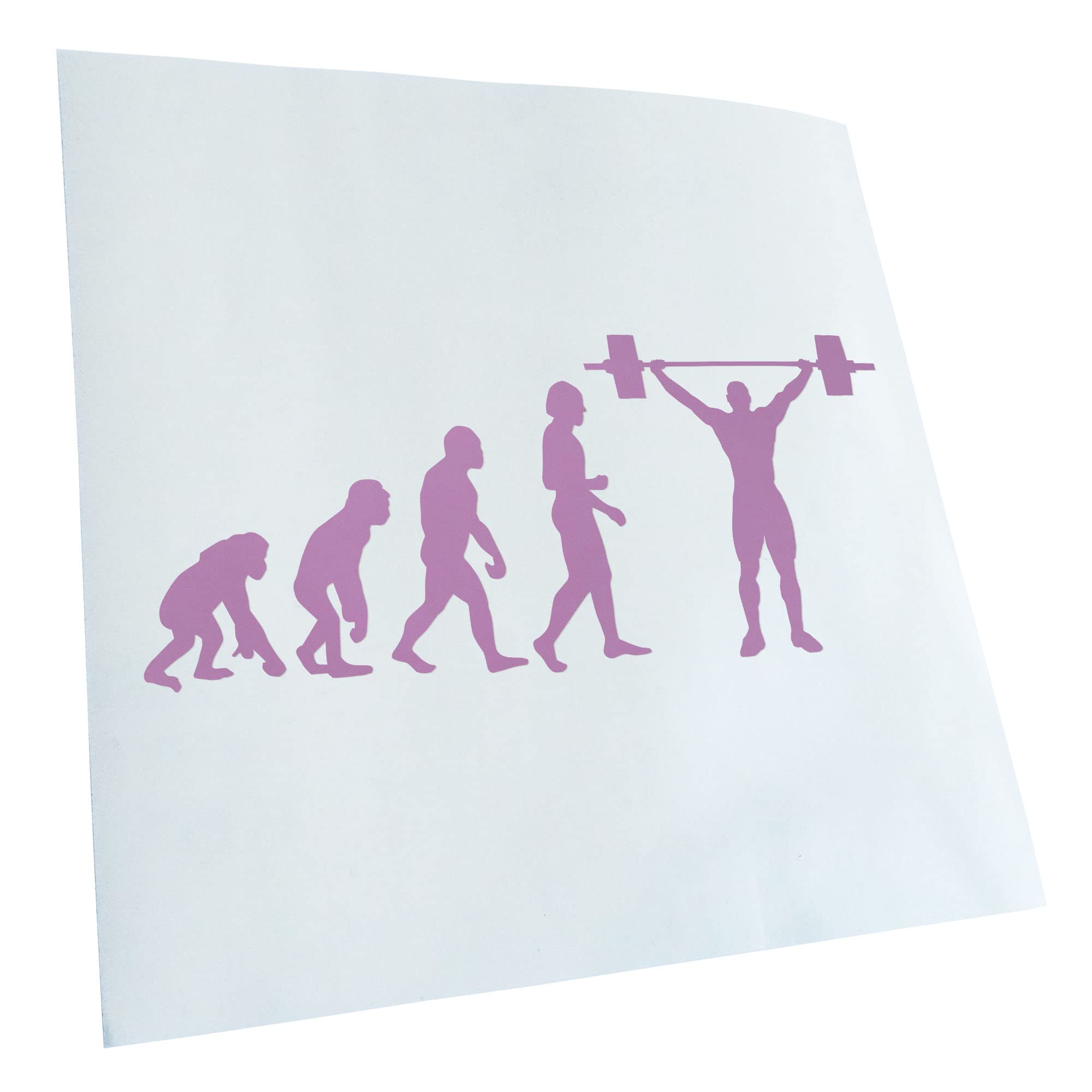 Kiwistar - Car Sticker - Lilac - 24 x 10 cm Evolution Weightlifter - Rear Window Car Sticker Weatherproof for Car Truck Moped Truck - Sticker Exterior Self-Adhesive Tuning Accessories for Window