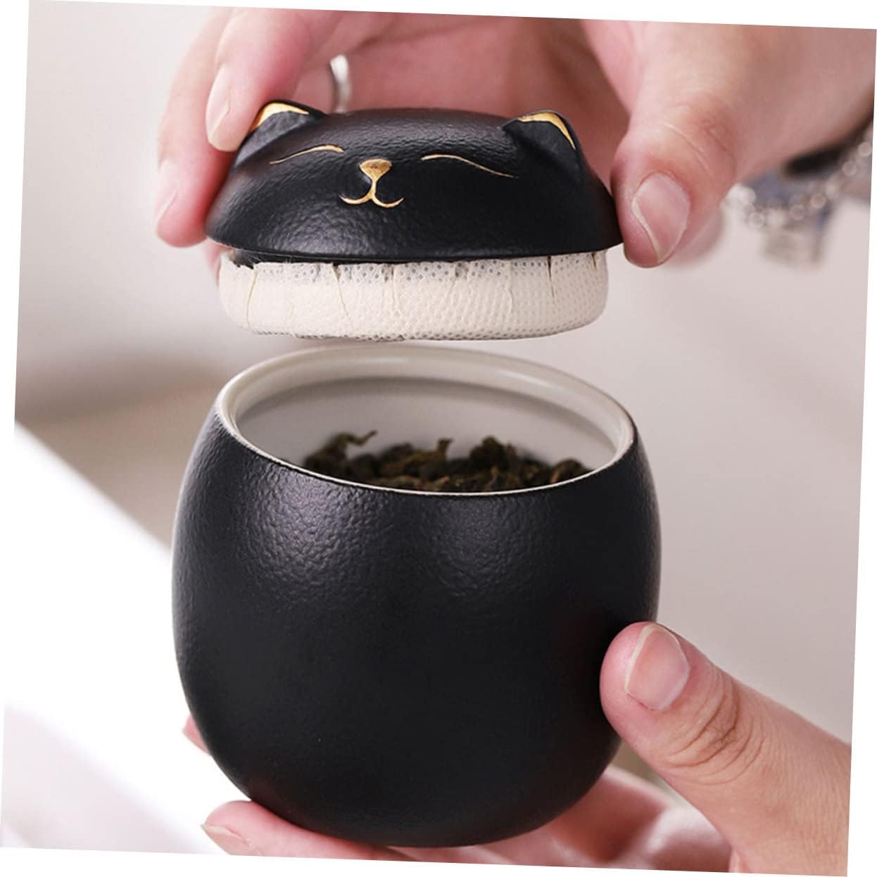 Totority Wear-Resistant Pet Urn Ceramic Cat Cremation Urn Compact Lightweight Sealed Ashes Container for Cats and Animals Memorial Keepsake