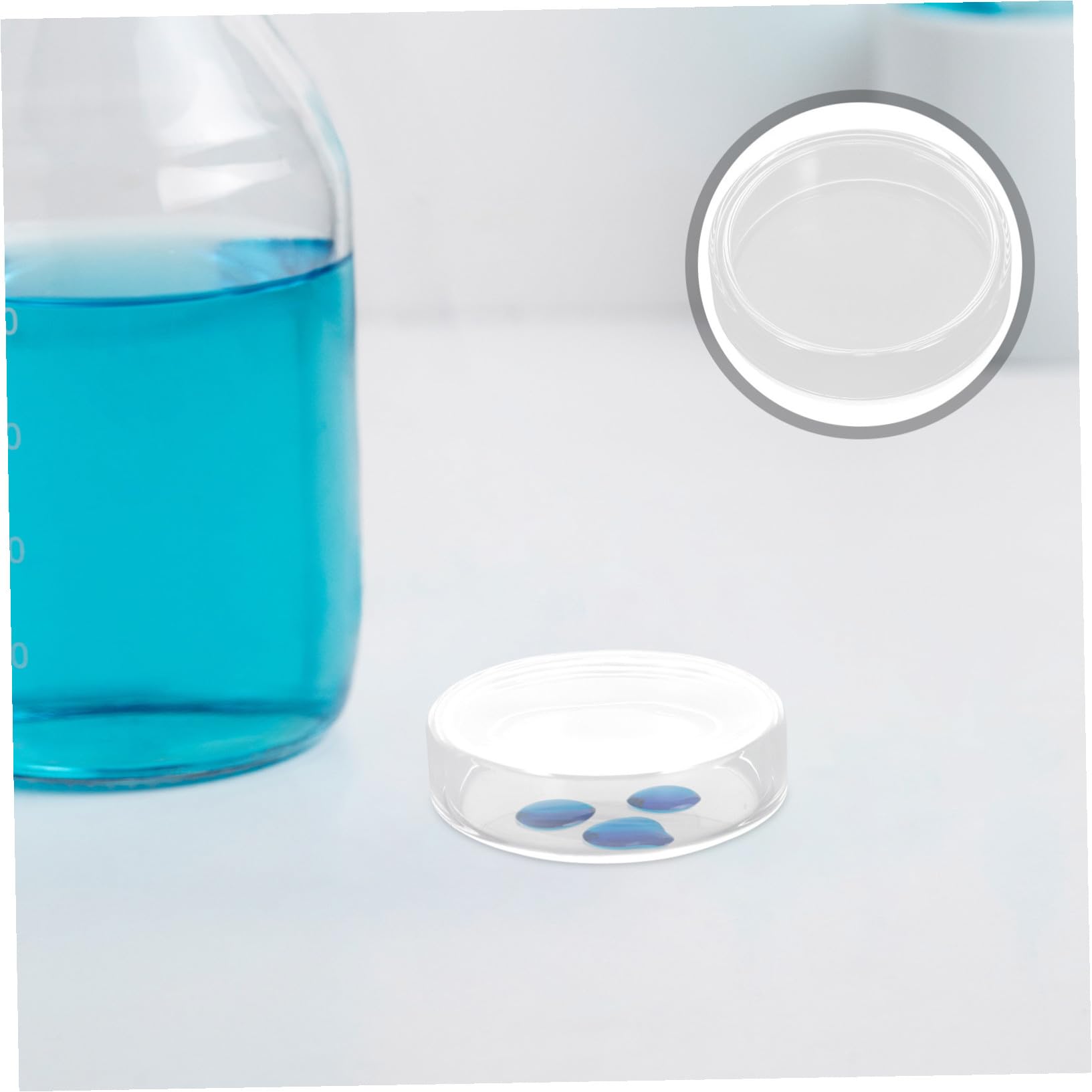 VALICLUD 10stücke Labor Petrischalen aus Glas Steril und Wiederverwendbar mit Deckel für Mikrobielle Kulturen Experimente und Zuchtanwendungen