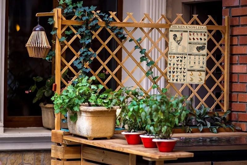 Miniatura 7 de Chicken Knowledge - Letrero de metal para decoración de pollo, letrero de metal para decoración de pared, razas de pollos retro, para gallinero,