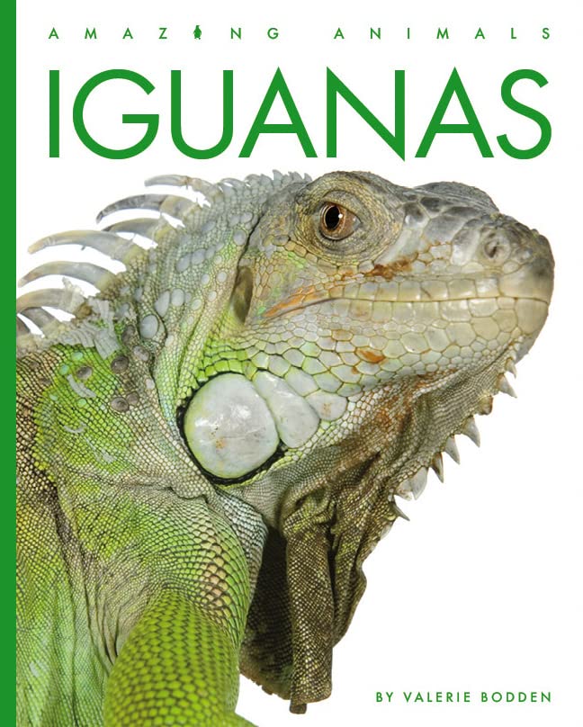 Iguanas (Amazing Animals)