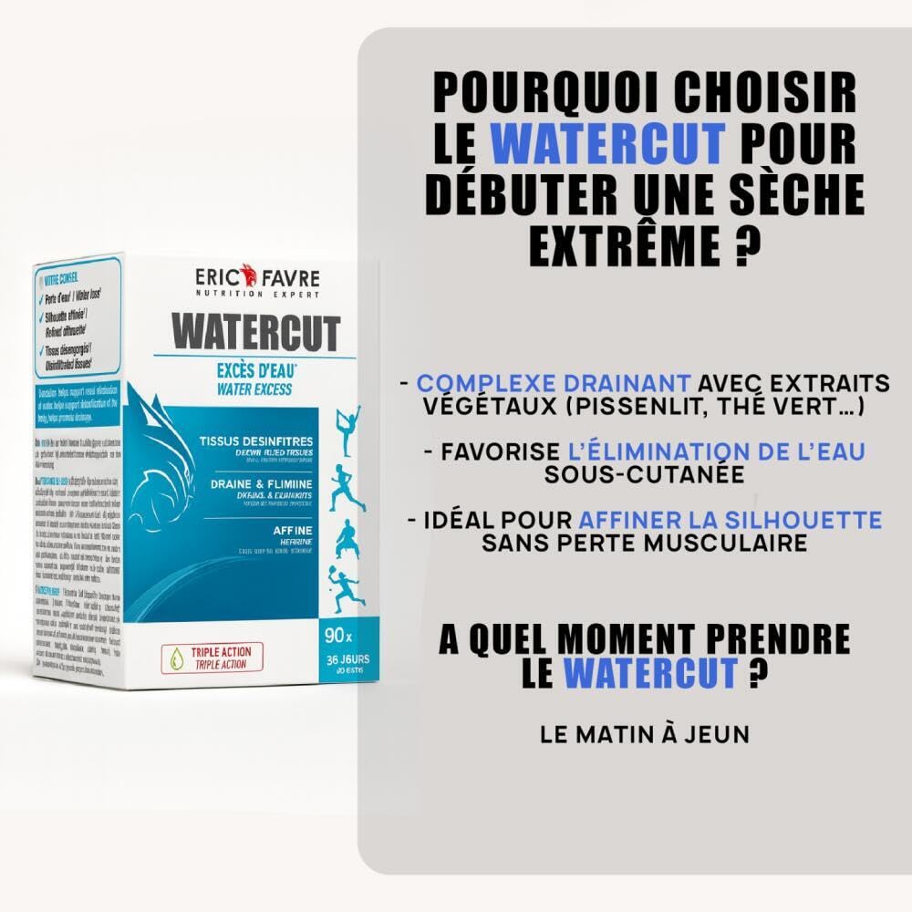 PACK SÈCHE EXTREME - Iron E.A.A Ultra Fat Burner + L-Carnitine Pro Zero + eBook Perte de Poids - Eric Favre