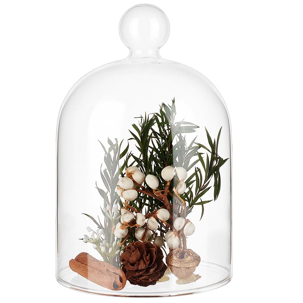 Cloche en verre BENECREAT 9x13cm pour dôme de protection de figurines