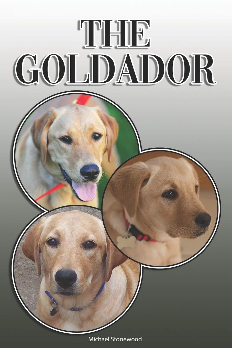 The Goldador: A Complete and Comprehensive Owners Guide to: Buying, Owning, Health, Grooming, Training, Obedience, Understanding and Caring for Your Goldador